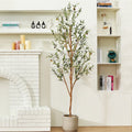 6 Ft Artificial Olive Plants with Realistic Leaves and Natural Trunk, Silk Fake Olive Tree in Black Plastic Pot, Faux Olive Tree for Office Home